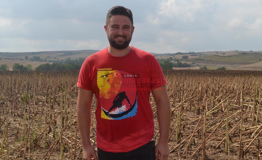 Ayçiçeği Hasadı Başladı