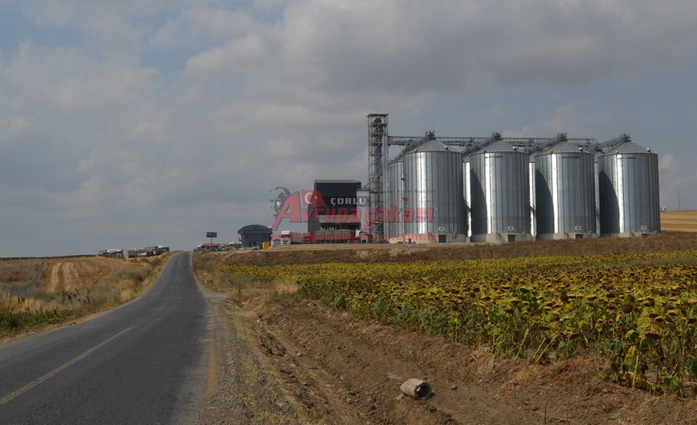Yüzlerce Kamyon Buğday Boşaltmak İçin Bekliyor