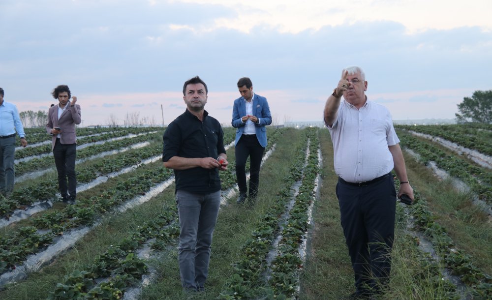 “Ergene'de Hayallerimizi Gerçeğe Dönüştürüyoruz”