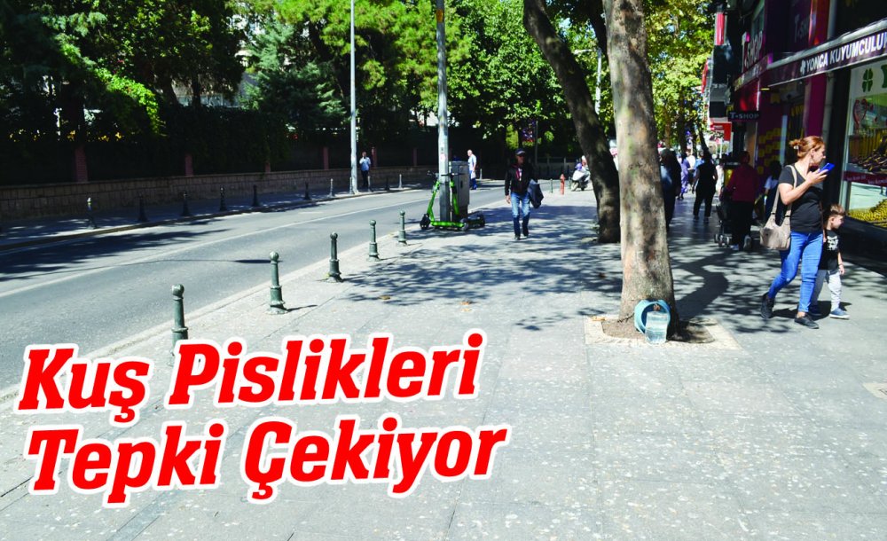 Kuş Pislikleri Tepki Çekiyor