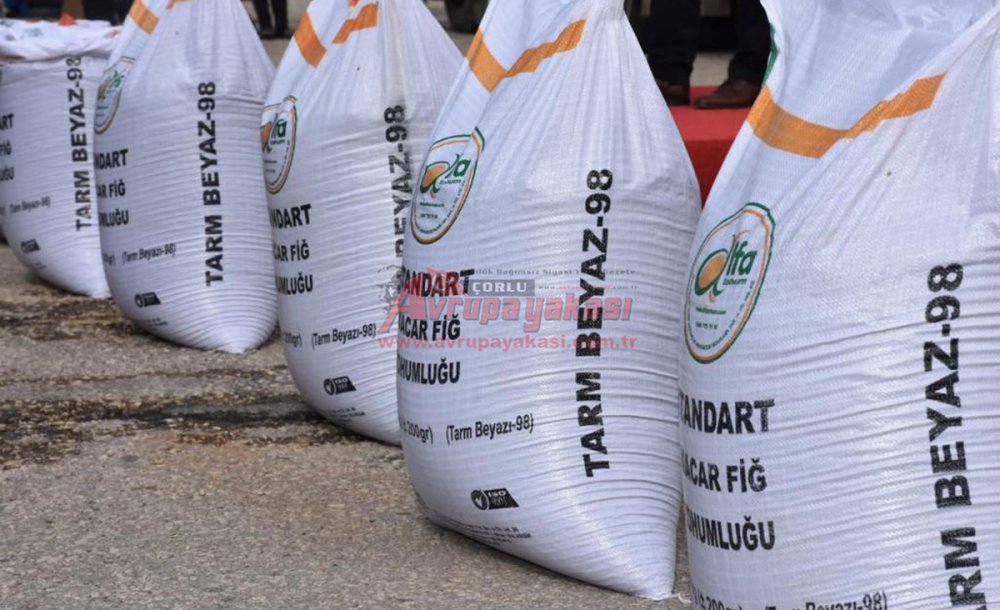 Büyükşehir, Üreticilere Desteğini Sürdürüyor