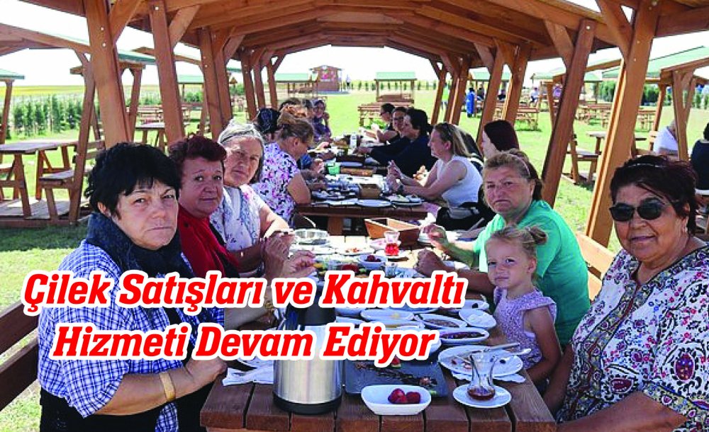 Çilek Satışları Ve Kahvaltı Hizmeti Devam Ediyor