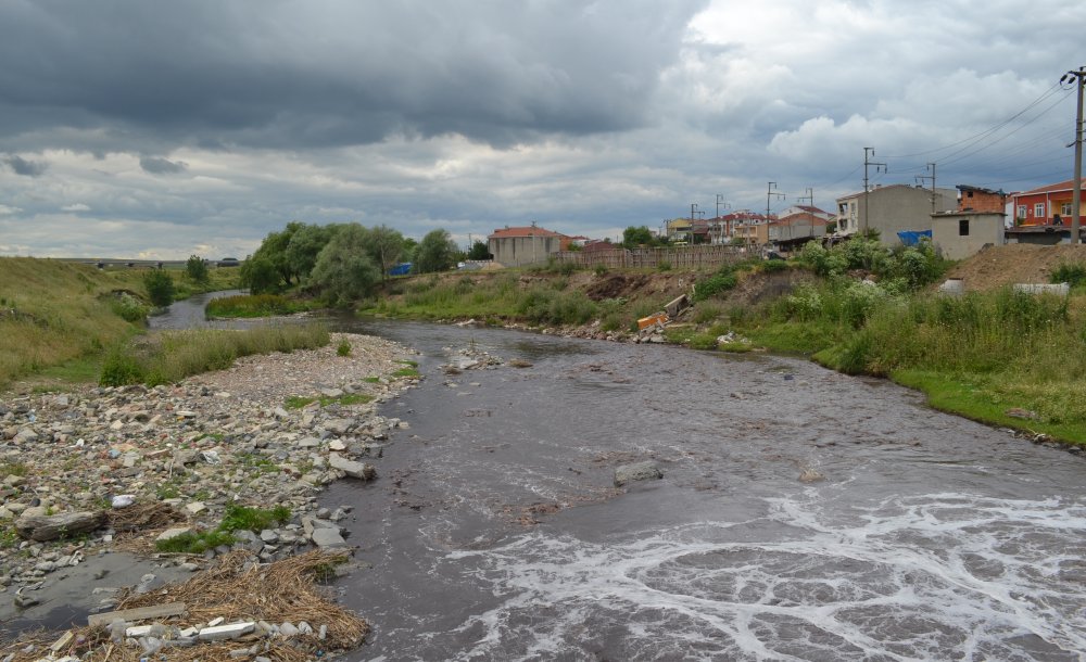  Ergene Nehri İçin Sevindirici Gelişme