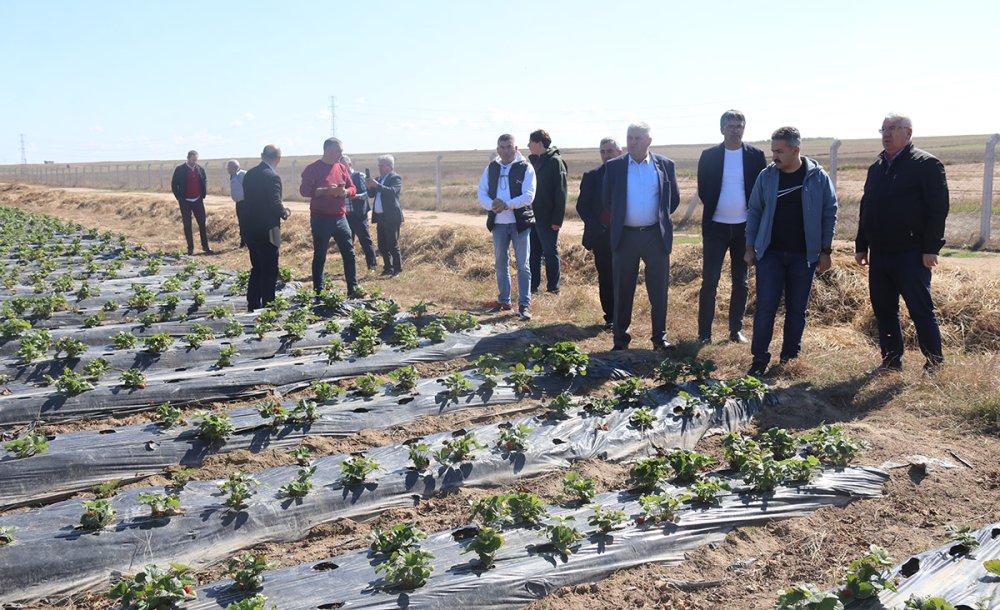 Kaymakam Ve Muhtarları Çilek Kafede Misafir Etti