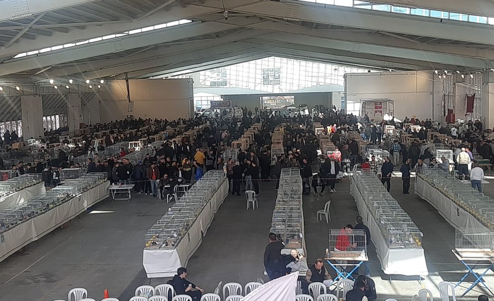Festival Büyük İlgi Gördü 