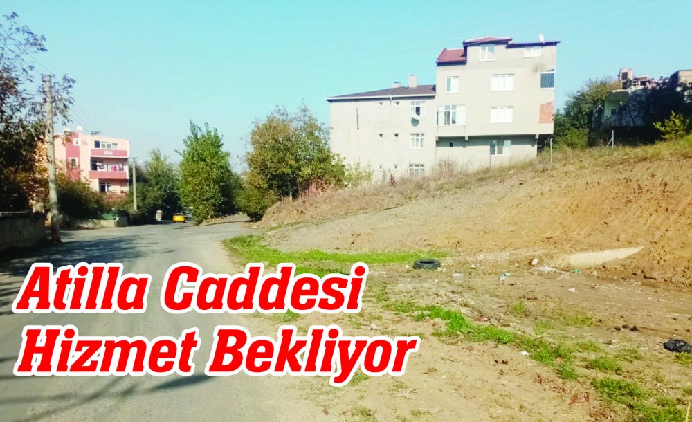 Atilla Caddesi Hizmet Bekliyor 