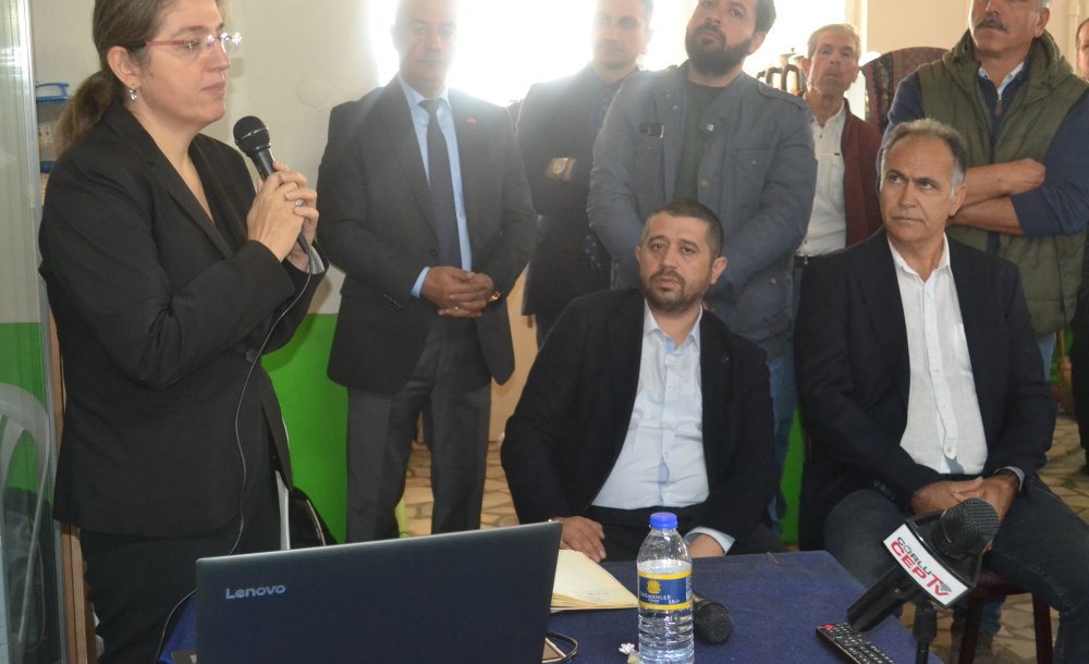 Angus Kokusuna Karşı Çorlu Birleşti 