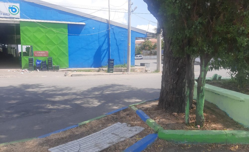  Şehide Yakışan Mezar Yapıldı 