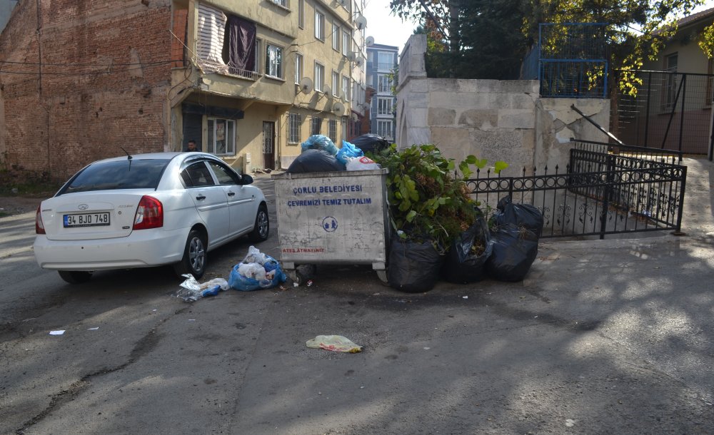 Cemaliye Mahallesi'nde Çöp Dağları Oluştu