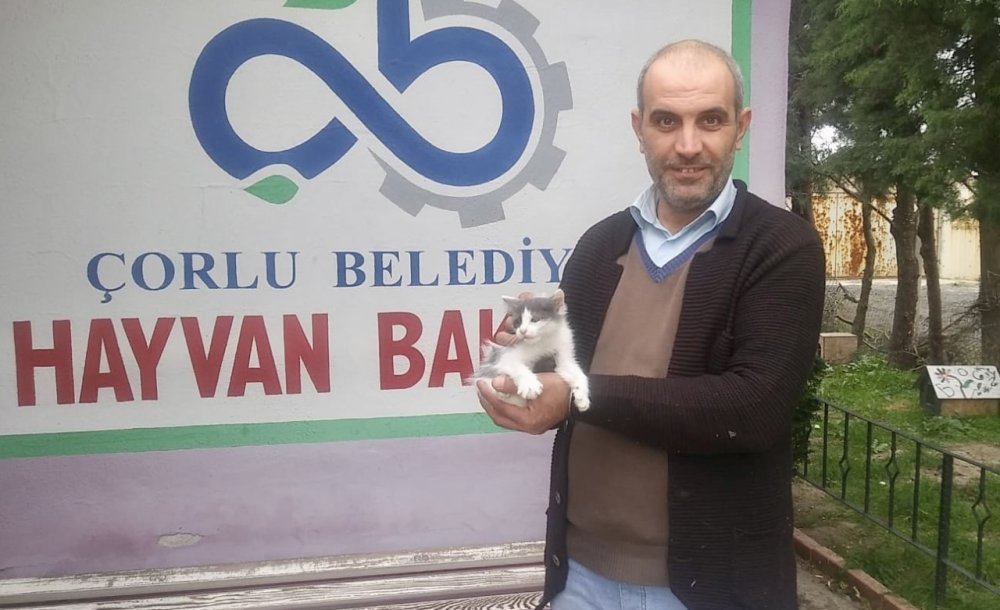 Sevimli Dostlarımızın Hep Yanındalar