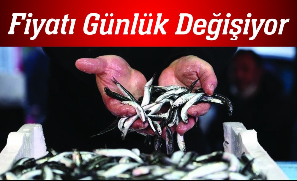 Balığın Fiyatı Günlük Değişiyor