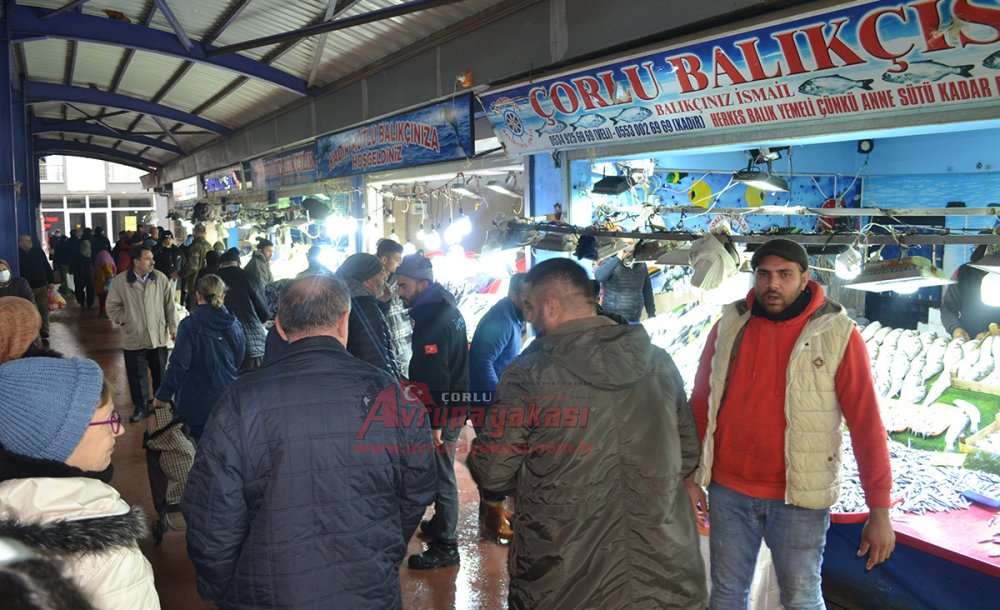 Balığın Fiyatı Günlük Değişiyor 