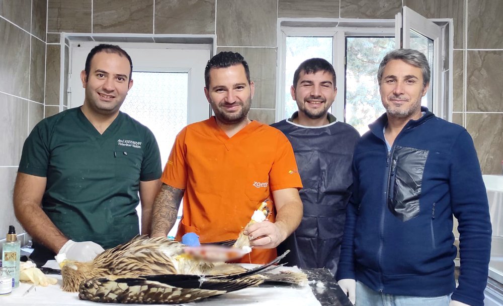 Hayvan Bakımevi Şifa Dağıtıyor