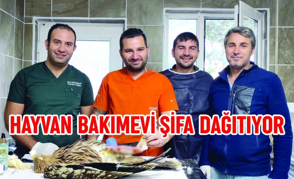 Hayvan Bakımevi Şifa Dağıtıyor