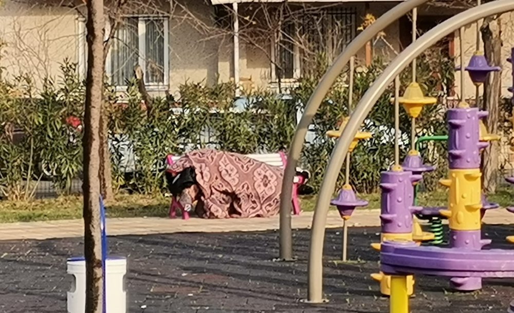 Soğukta Parkta Yatan Kişi Yürekleri Sızlattı 