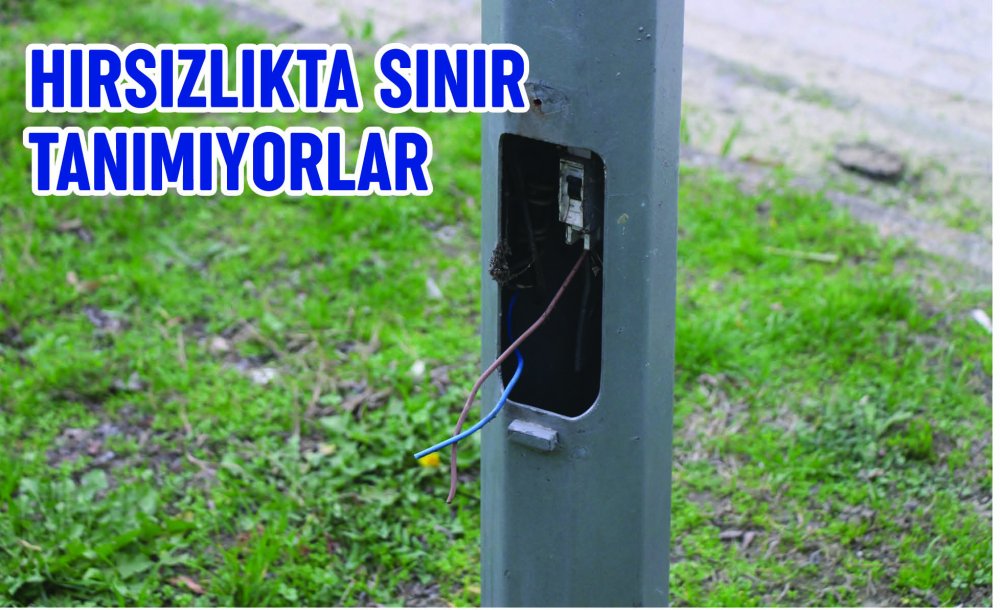 Hırsızlıkta Sınır Tanımıyorlar