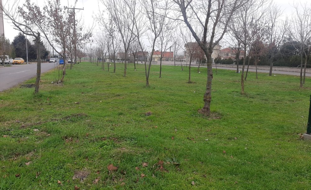 Mahalle Sakinleri Bu Alanda Düzenleme Bekliyor