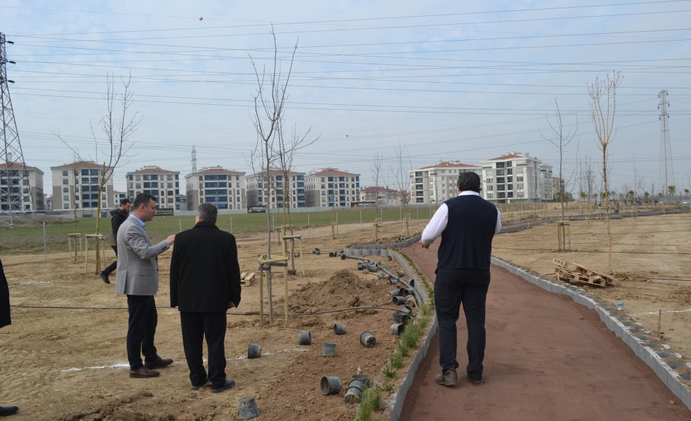  “Yeşil Alan Yaratmak İçin Çalışıyoruz”