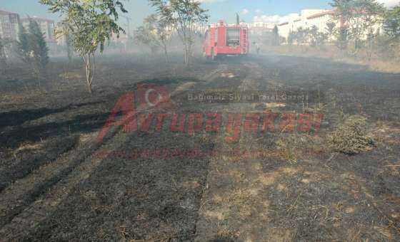 5. Kolordu Hatıra Ormanı Alevlere Teslim Oldu