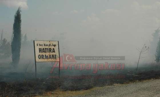 5. Kolordu Hatıra Ormanı Alevlere Teslim Oldu