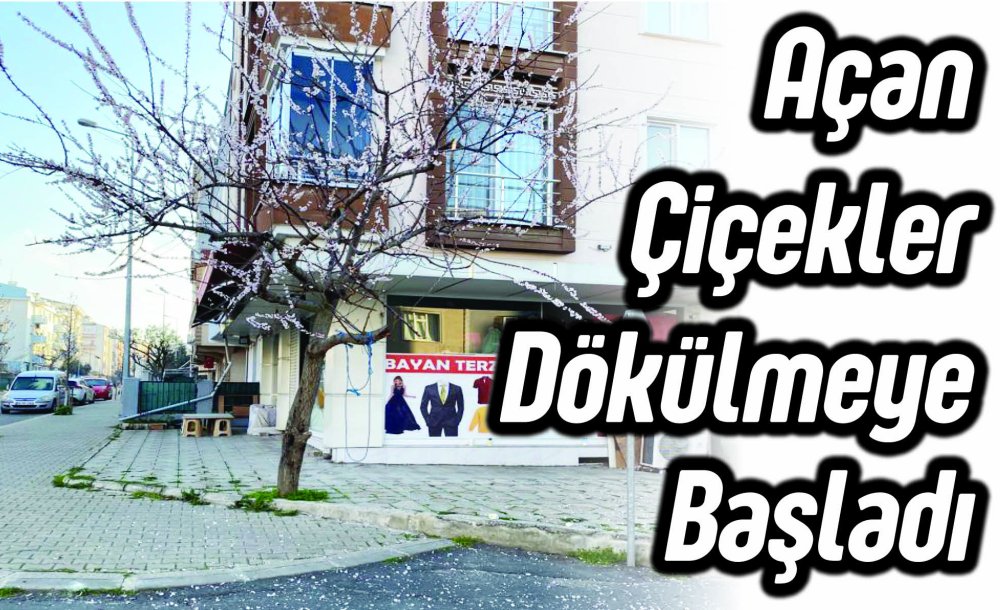 Açan Çiçekler Dökülmeye Başladı 