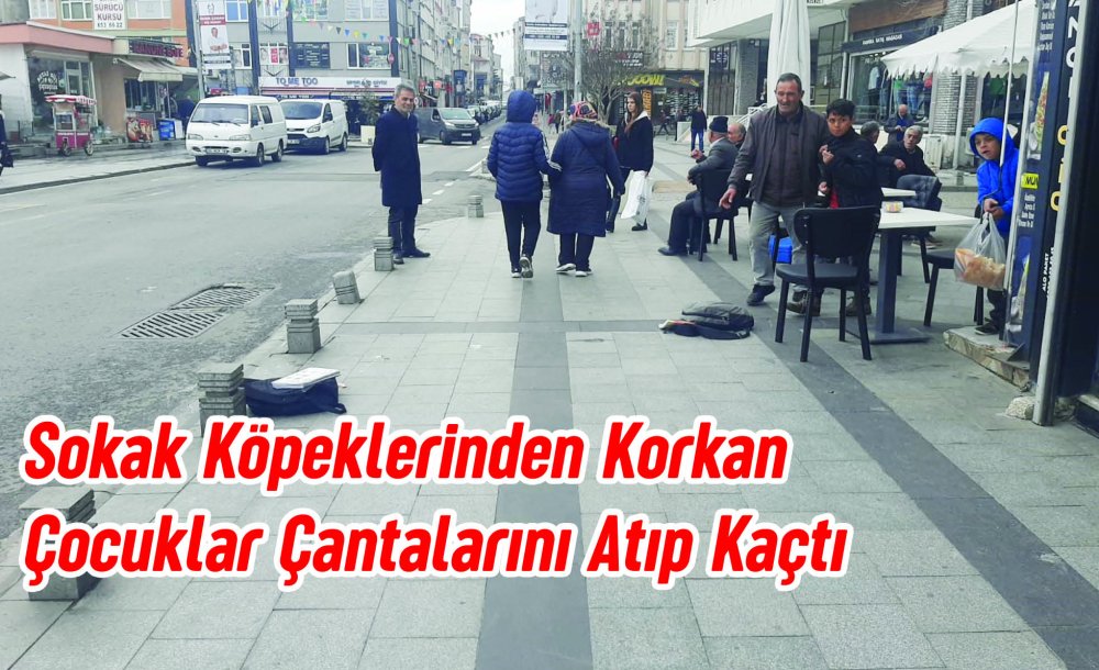 Sokak Köpeklerinden Korkan Çocuklar Çantalarını Atıp Kaçtı