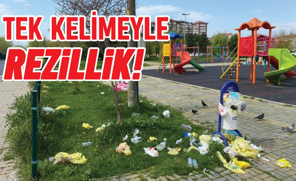 Tek Kelimeyle Rezillik!