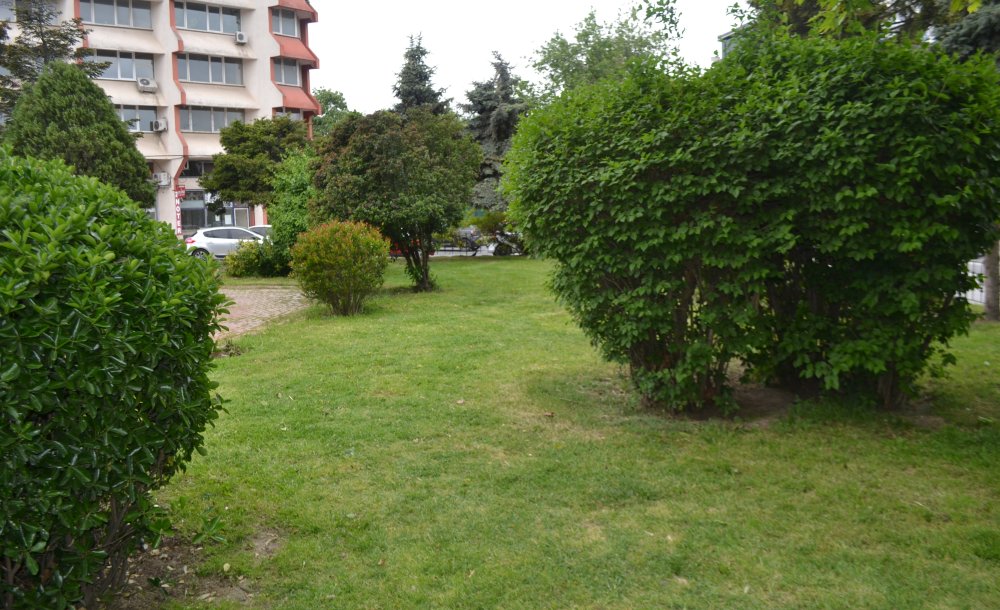 Uyuşturucu Kullanılan O Park Tertemiz