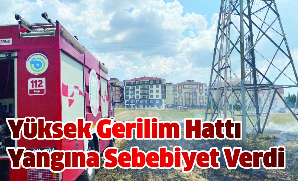 Yüksek Gerilim Hattı Yangına Sebebiyet Verdi 