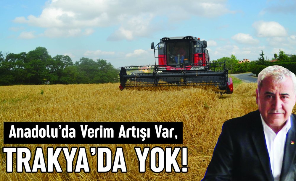 Anadolu'da Verim Artışı Var, Trakya'da Yok!