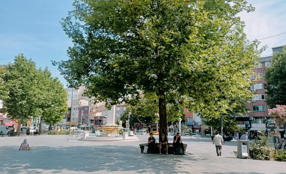 Zorda Kalmadıkça Dışarı Çıkmayın!