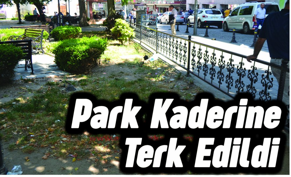 Park Kaderine Terk Edildi 