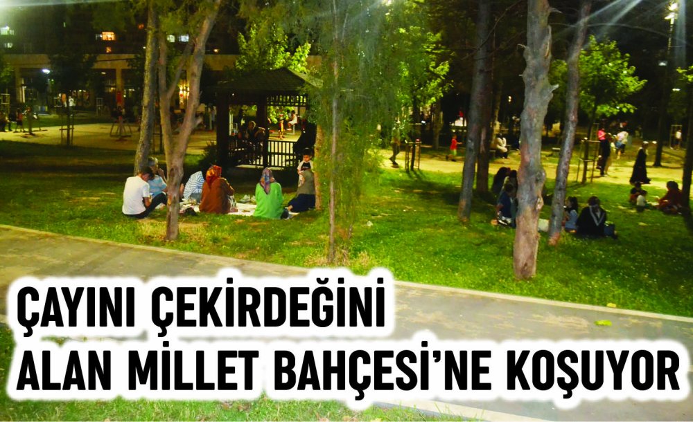 Çayını Çekirdeğini Alan Millet Bahçesi'ne Koşuyor