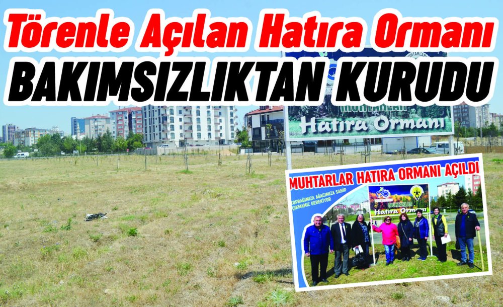 Törenle Açılan Hatıra Ormanı Bakımsızlıktan Kurudu 