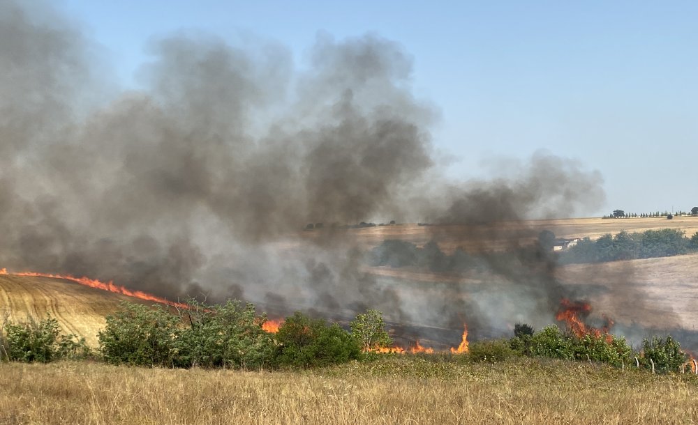  Çorlu'da 7 Ayda 606 Yangına Müdahale Edildi 