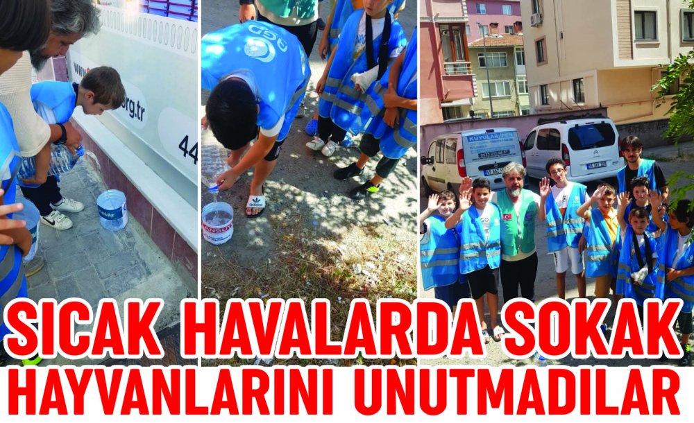 Sıcak Havalarda Sokak Hayvanlarını Unutmadılar 