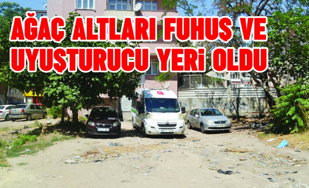 Ağaç Altları Fuhuş Ve Uyuşturucu Yeri Oldu 