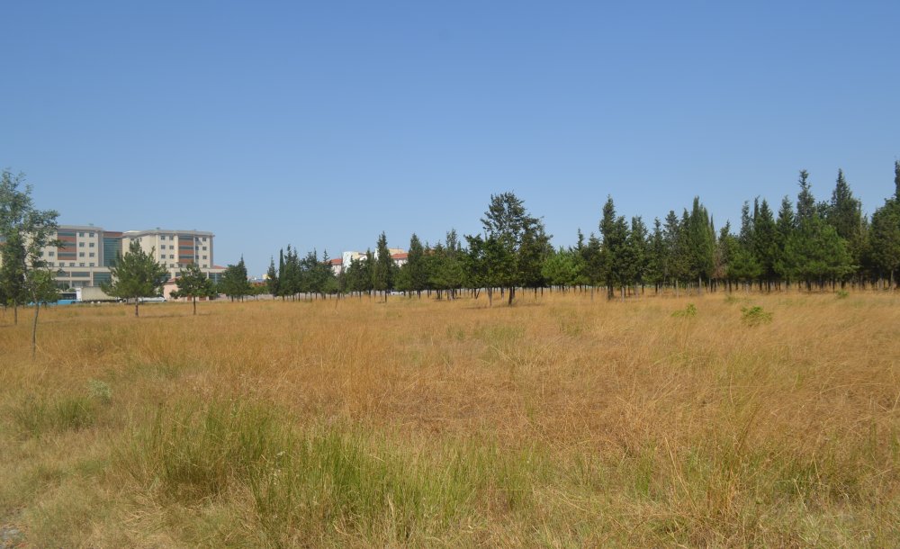  Çorlu Tema Parkı İçin Birleşsin!