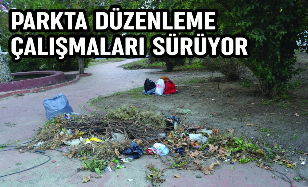 Parkta Düzenleme Çalışmaları Sürüyor 