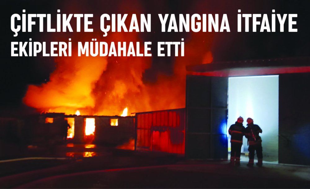 Çiftlikte Çıkan Yangına İtfaiye Ekipleri Müdahale Etti 