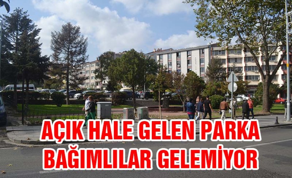 Açık Hale Gelen Parka Bağımlılar Gelemiyor 