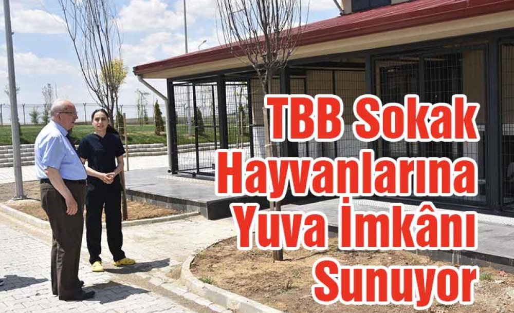 Tbb Sokak Hayvanlarına Yuva İmkânı Sunuyor