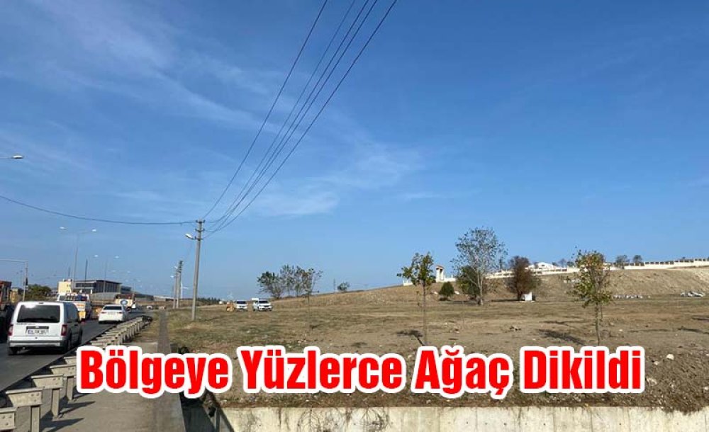 Bölgeye Yüzlerce Ağaç Dikildi 