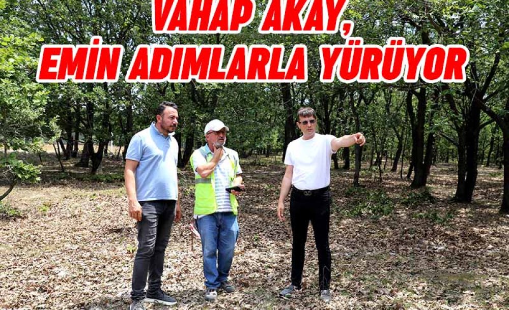 Vahap Akay, Emi̇n Adımlarla Yürüyor