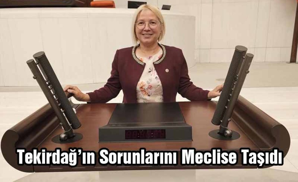 Tekirdağ'ın Sorunlarını Meclise Taşıdı