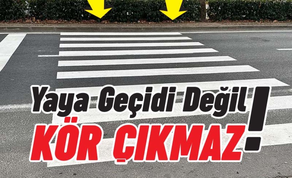 Yaya Geçidi Değil Kör Çıkmaz! 