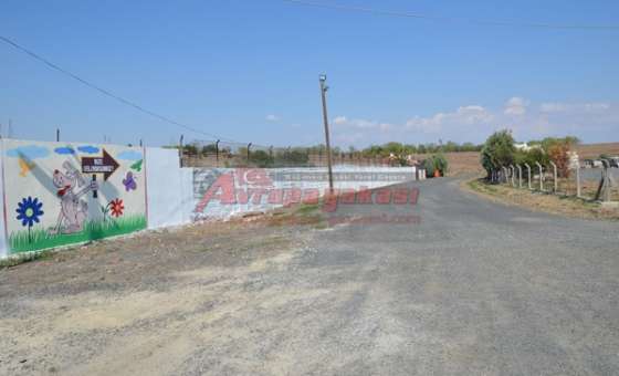 Örnek Olacak Hayvan Bakımevi