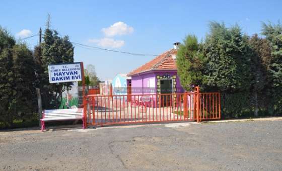 Örnek Olacak Hayvan Bakımevi