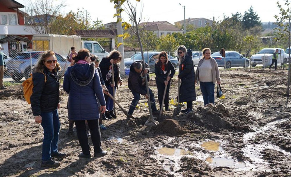 Cem Vakfı Cumhuriyetin 100. Yılında, 100 Fidan Dikti