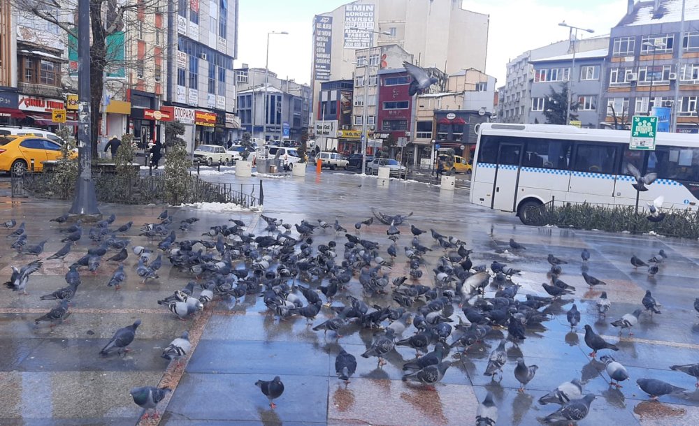 Soğuk Havalarda Güvercinleri Vatandaşlar Besliyor